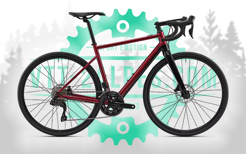 VAN RYSEL Electrique EDRAF 105 DI2